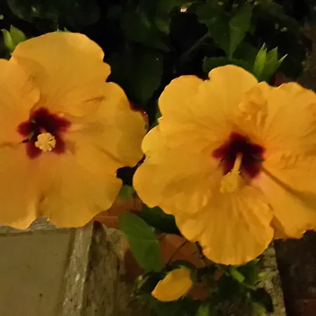 Garden Tabiano Hotel 3*